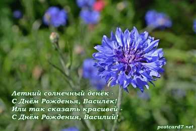 С васильками Картинки с васильками. Картинки с васильками с днём рождения.