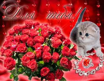 С красными розами Красивые розы фото. Картинки розы красные. Розы фото скачать.