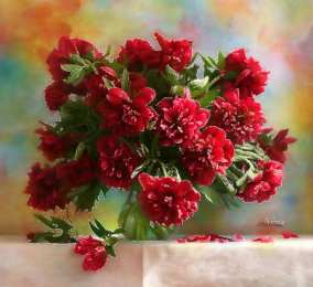 С пионами Открытка в День рождения с нежным букетом бело розовых пионов.