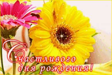 С герберами Оранжевые герберы фото. Герберы фото букетов. Белые герберы фото.