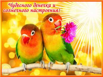 Добрый день Картинки добрый день скачать бесплатно. Добрый день открытки.