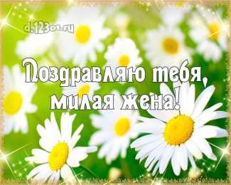 С ромашками Открытка Зайчик с ромашками. Открытка с ромашками на день рождения.