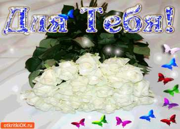 С белыми розами Картинки с белыми розами скачать. Красивые картинки с белыми розами.