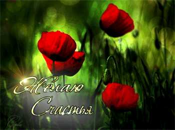 С днем счастья Картинки с днем счастья 20 марта 2020. Картинки с днем счастья любимому.