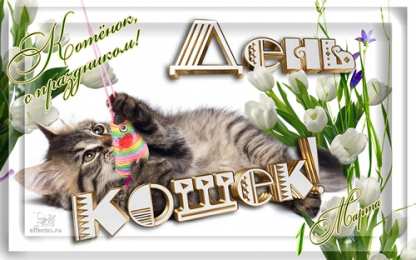 С Всемирным днём кошек Прикольные открытки с Днем кошек. День кошек в России открытки.