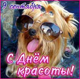 С днём красоты Смешные картинки с днем красоты. Прикольные картинки с Днём .