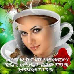 Открытки о дружбе Смешные открытки для друзей. Картинки про дружбу с надписью.