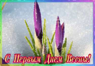 С крокусами Открытка Спасибо что есть на земле чудеса, мерцающий фиолетовый Крокус.