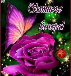 Добрый вечер Прикольные открытки Добрый вечер. Открытки Добрый вечер друзья.