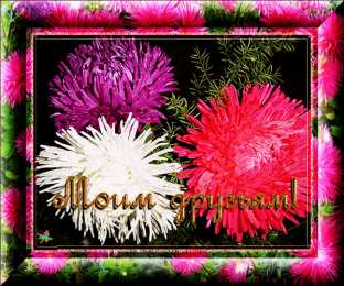 С астрами Фото Астры и хризантемы. Астры букет фото. Красивые Астры фото.