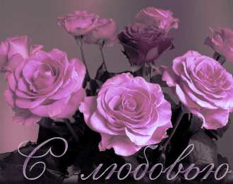 С розовыми розами Картинки Розовые розы с днём рождения. Открытки цветы Розовые розы.