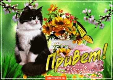 С приветствием Картинки Привет Какие приветствия. Открытка Привет как дела.
