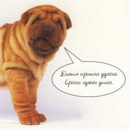 	Картинки про диеты	 Прикольные картинки про худеющих. Стимулирующие картинки для похудения.