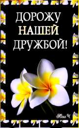 Открытки о дружбе Смешные открытки для друзей. Картинки про дружбу с надписью.