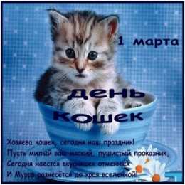 С Всемирным днём кошек Открытка Всемирный день кошек 8 августа. Скачать картинки с Днём Кошки.