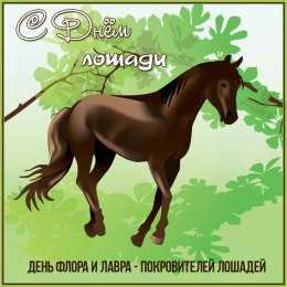 С лошадьми Открытка С Новым годом Лошади! Открытка со стихами и лошадью.