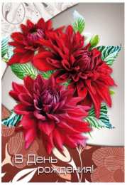 С георгинами Картинка с георгинами. Открытка в День рождения с георгинами.