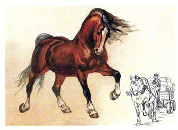 С лошадьми Новогодние открытки с лошадьми. Прикольные открытки с лошадью.