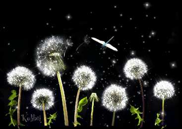 С одуванчиками Одуванчик картинка для детей. Фото одуванчика Одуванчики фотообои.