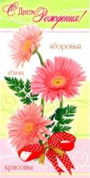 С герберами Оранжевые герберы фото. Герберы фото букетов. Белые герберы фото.