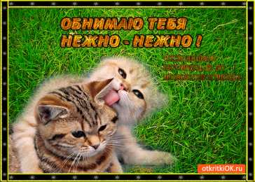 Обнимаю Открытки Обнимаю тебя крепко. Открытки обнимаю. Открытки Целую обнимаю.