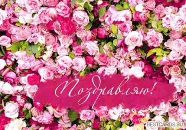 Поздравляю! Открытка с цветами поздравляю. картинки с надписью Поздравляю.