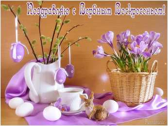 С крокусами Открытка С Днём рождения С белым крокусом и фиолетовыми прожилками.