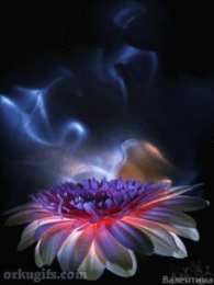 С герберами Нежная открытка с днём рождения со светло розовыми герберами.