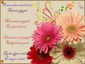 С герберами Оранжевые герберы фото. Герберы фото букетов. Белые герберы фото.