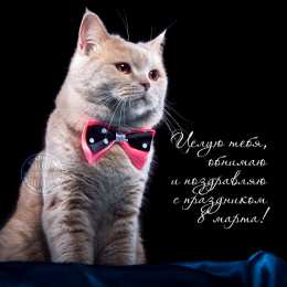 Обнимаю Картинка Люблю целую обнимаю. Картинка Вот так тебя обнимаю.