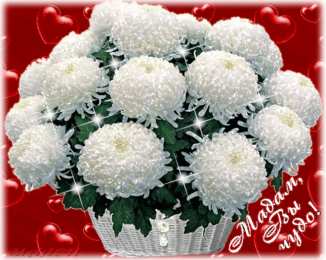 С георгинами Картинка с георгинами. Открытка в День рождения с георгинами.