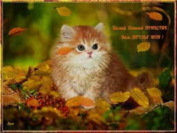 Осенний приветик Открытки осенний Приветик. Бесплатные открытки осенний Привет.