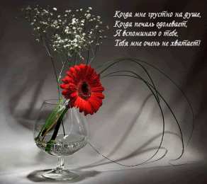 Для любимой Картинки для любимой женщины. Открытки с добрым утром любимая моя.