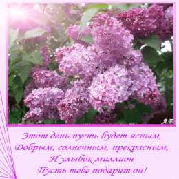 С сиренью Открытка Желаю вам простого счастья, с цветущей сиренью.    