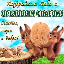 С белочками Открытка Поздравляю с белочкой. Открытки с анимацией белочки.