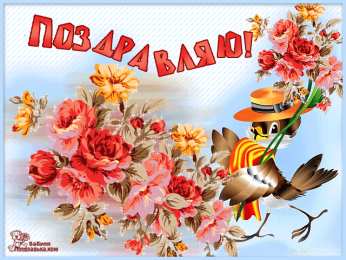 Поздравляю! Открытка с букетом разноцветных тюльпанов и надписью поздравляю.