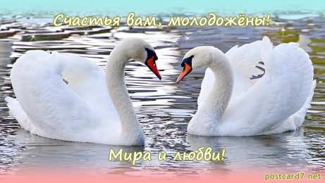 С лебедями Открытки с Днём свадьбы лебеди. Открытка С Днём рождения С лебедями.