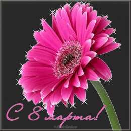 С герберами Скачать бесплатно картинки с герберами. Картинки с цветами герберами.