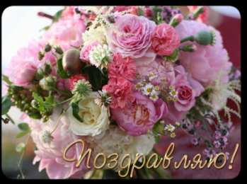 Поздравляю! Открытка с букетом разноцветных тюльпанов и надписью поздравляю.