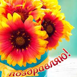 Поздравляю! Открытка с букетом разноцветных тюльпанов и надписью поздравляю.