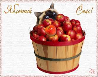 Яблочный спас Открытка с яблоками и возле иконы. Открытка с ежиком и корзины яблок.