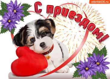 С возвращением, с приездом Открытки С приездом домой из отпуска. Открытки С приездом на Родину.