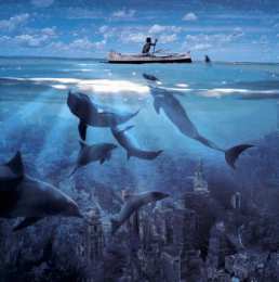 С подводным миром Открытки с анимацией Подводный мир. Открытки с дельфинами под водой.