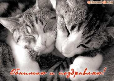 Обнимаю Открытка обнимашки. Открытка обнимаю. Открытка обнимаю тебя. 