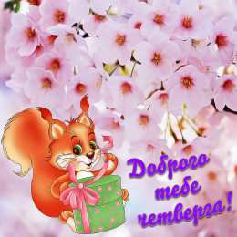 С белочками Белочка с корзиной картинка.  Картинка белочка с цветами.   