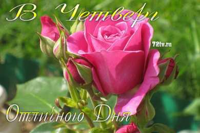 С четвергом  Открытки с детьми про четверг. Открытки с собаками про четверг.