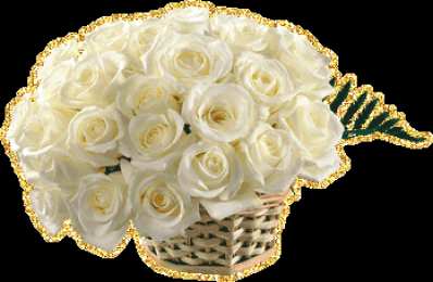 С белыми розами Шикарные Белые розы фото. Белые розы фото букет. Фото Белые розы в вазе.