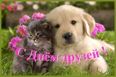 День друзей Картинка гиф с Днём друзей. Картинка с днём друзей прикольная.