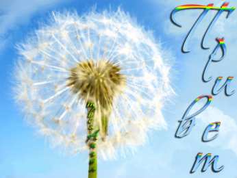 С одуванчиками Открытка мерцающая с одуванчиками белыми в стеклянной вазе. 