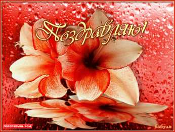 Поздравляю! Открытка с цветами поздравляю. картинки с надписью Поздравляю.